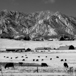 IMG_9139