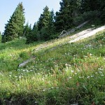Boulder Hikes - Indian Peaks Wilderness Area - 4th of July Trailhead Boulder Hikes - Indian Peaks Wilderness Area - 4th of July Trailhead