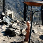 The Fourmile Fire - And This Too Shall Pass... The Fourmile Fire - And This Too Shall Pass...