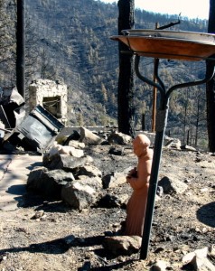 The Fourmile Fire - And This Too Shall Pass...