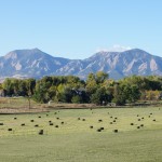 Boulder's Flatirons and Farm Boulder's Flatirons and Farm
