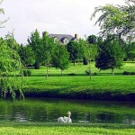 5860 Boulder Hills