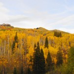Near Kebler Pass
