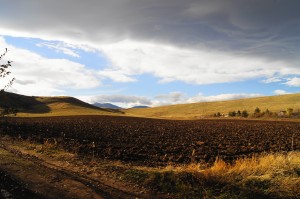 farmland in Boulder county