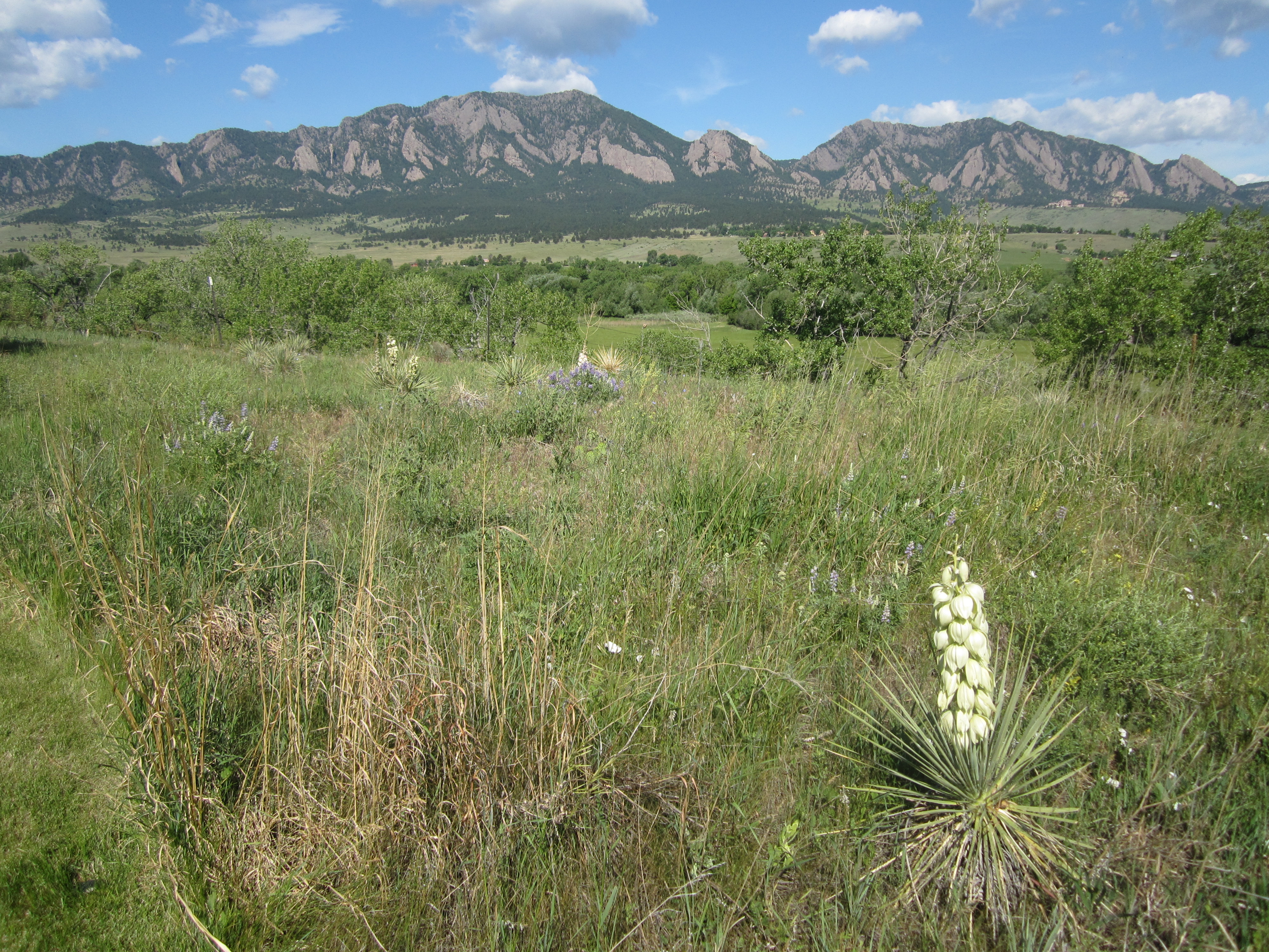 A Successful Real Estate Transaction From Contract to Closing – Sellers