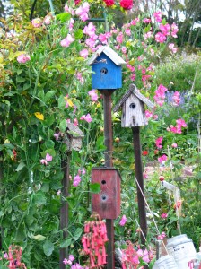 birdhouses and flowers