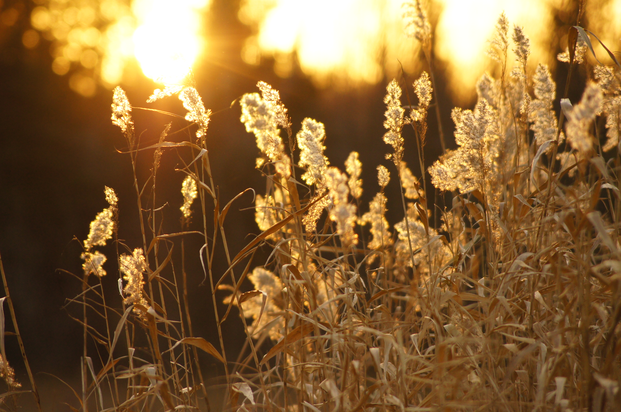 The Process of Selling Your Home