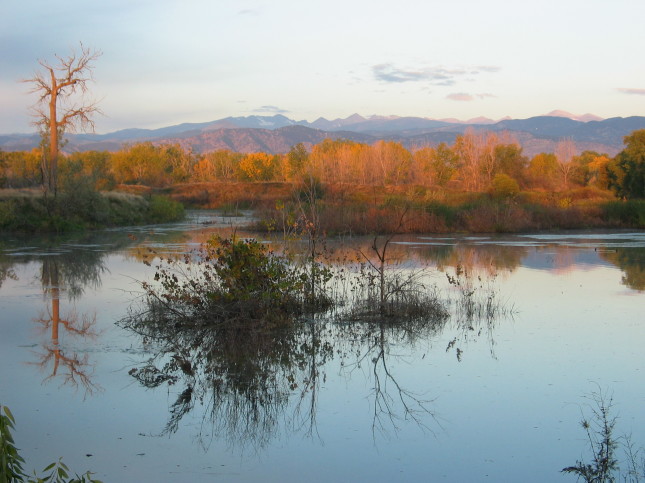 Sawhill Ponds