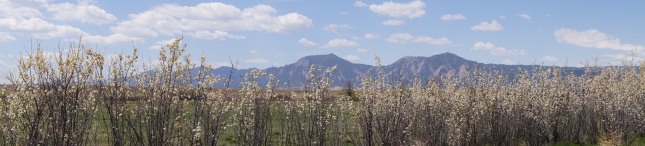 Spring in Boulder