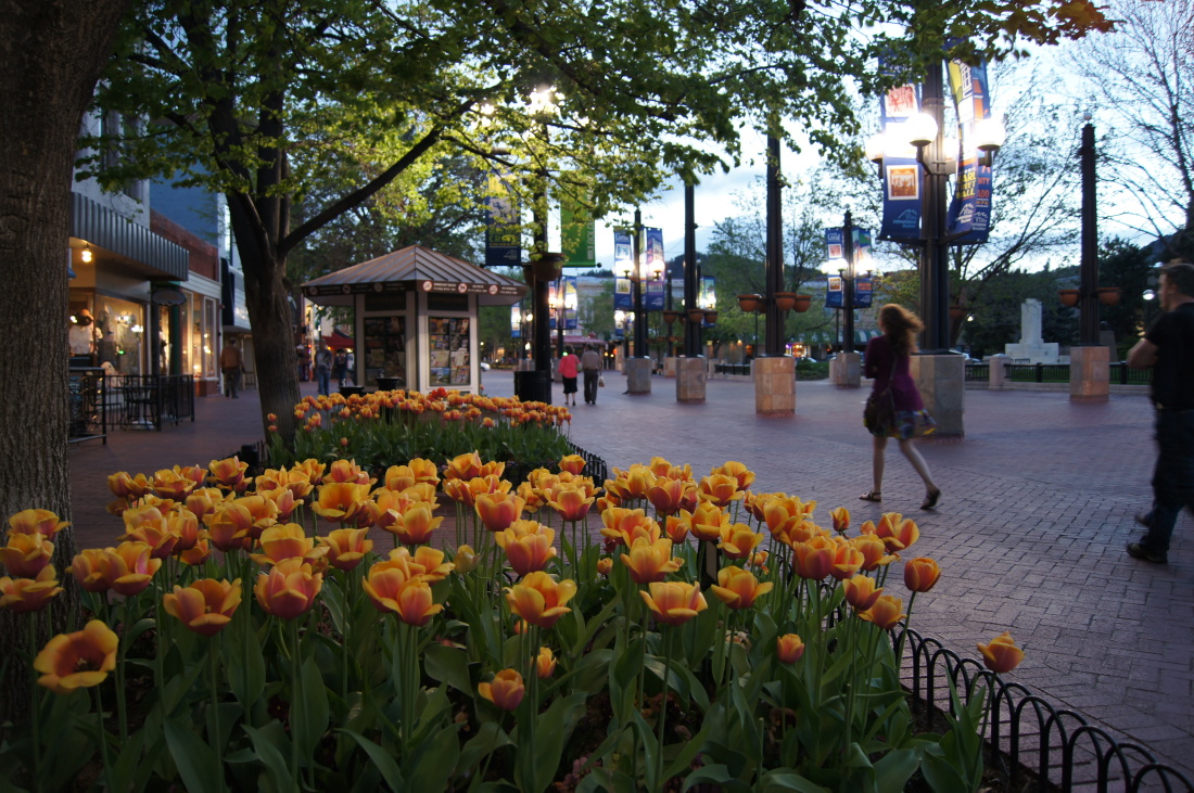 Pearl Street Mall