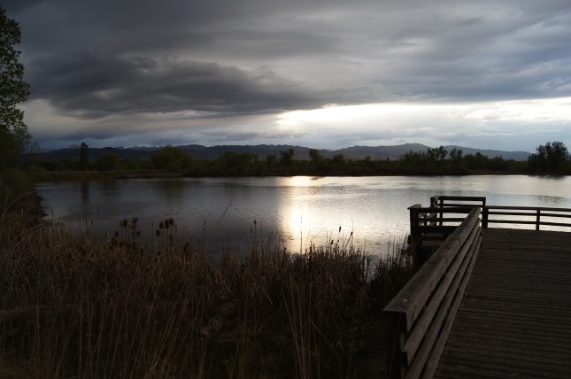 Coot Lake Open Space