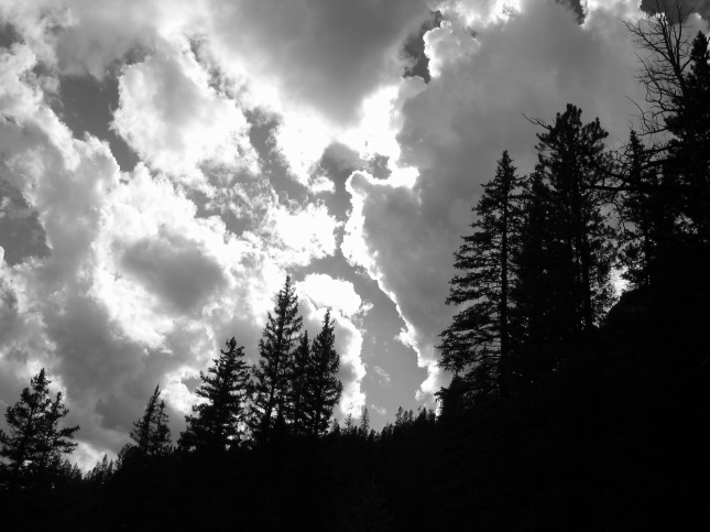 Black and White Trees and Clouds