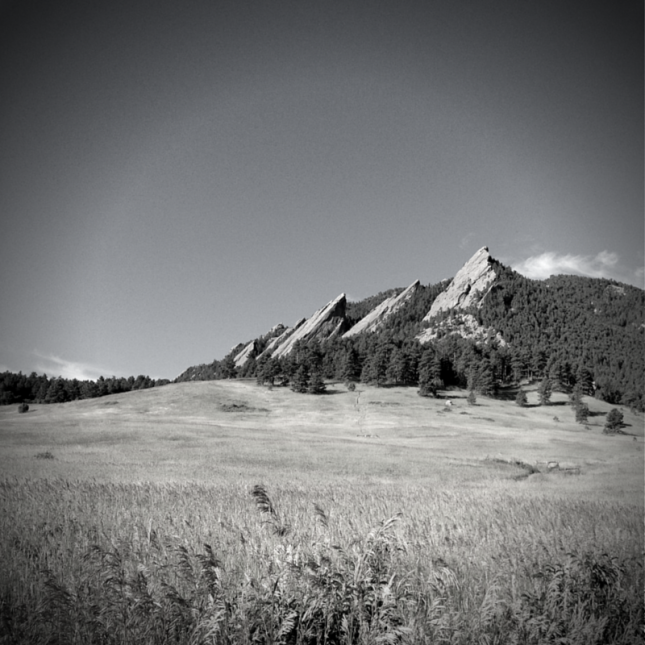 Neil KearneyBoulder Real Estate(1) copy