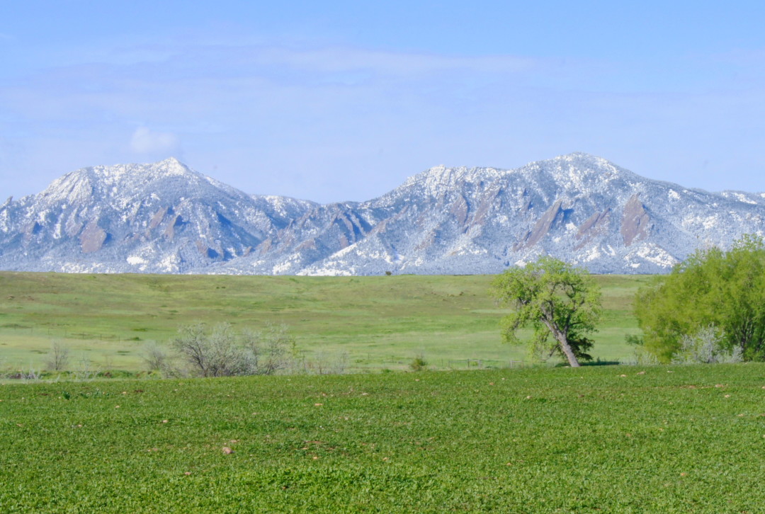 Boulder Spring Snow