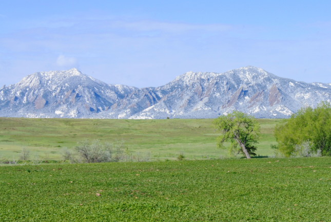 Boulder Spring Snow