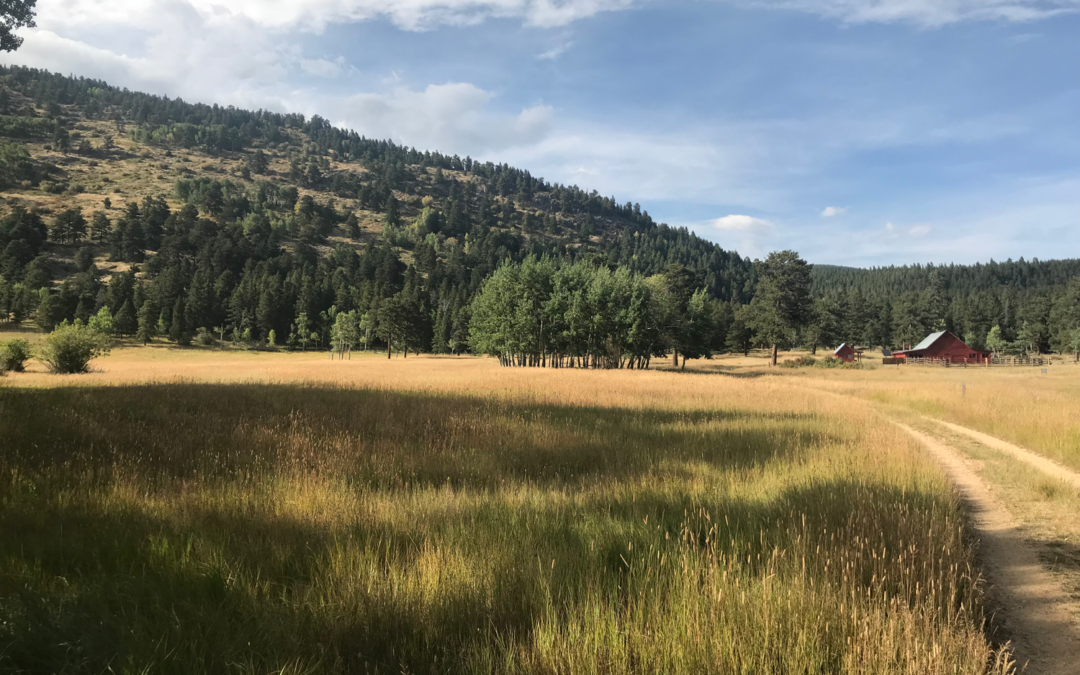 Boulder County Real Estate Statistics – August 2018