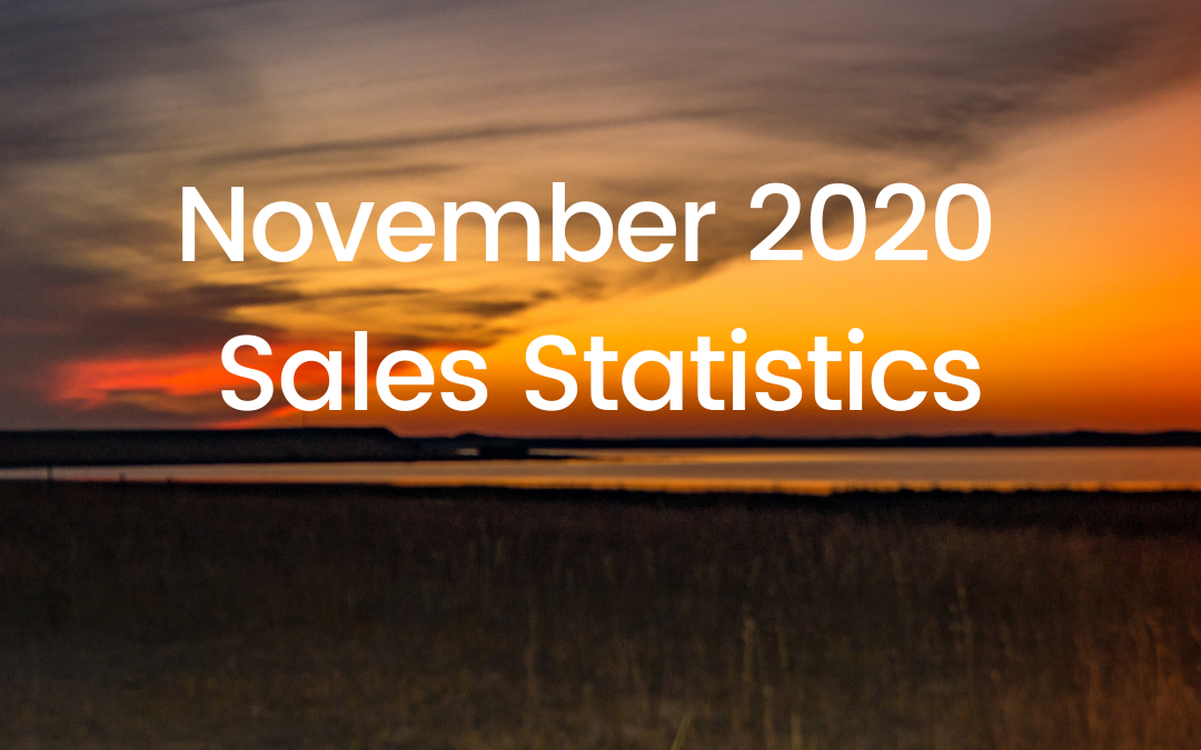 Monthly Statistics – November 2020