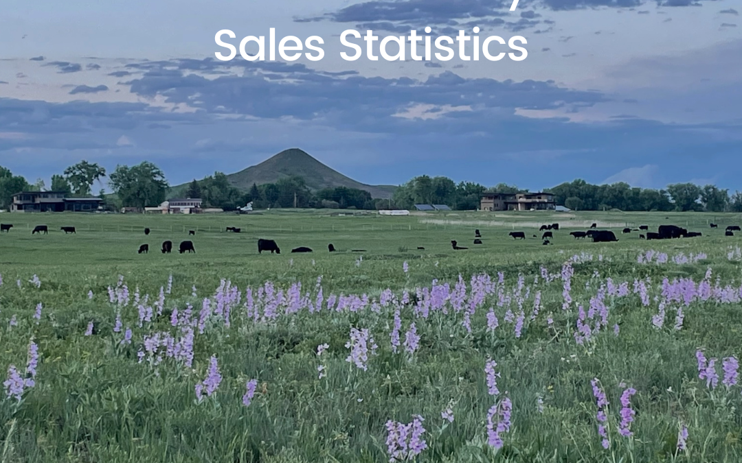 May 2023 Real Estate Statistics for Boulder County